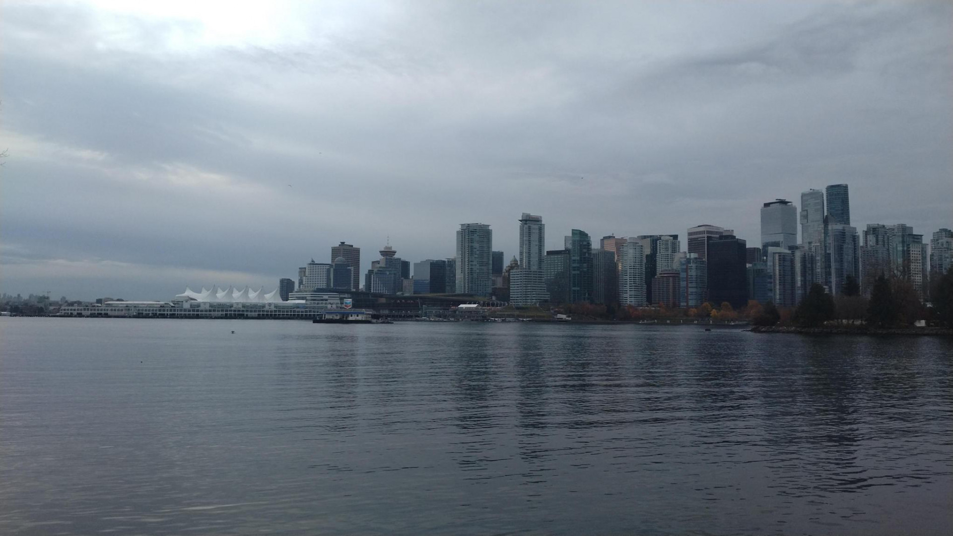 ビル群メディア - コピー